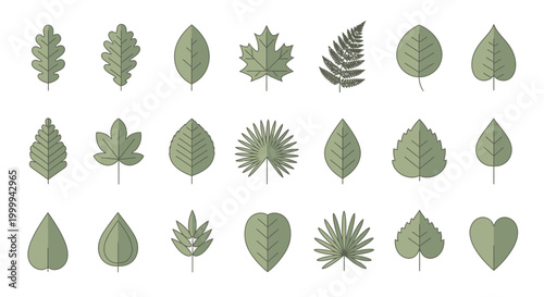 Collection of various green leaves icons, flat design, isolated on white background, nature elements