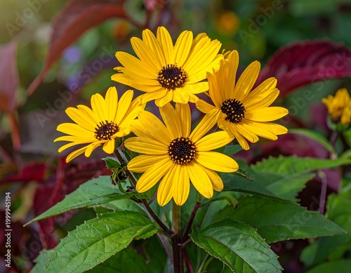 Fresh Yellow Flowers with Green Foliage Background