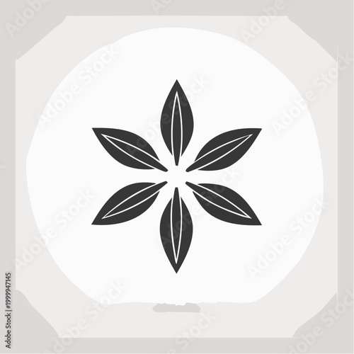 Anise Star Icon