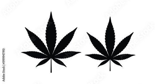 Cannabis leaf silhouette on white background high quality