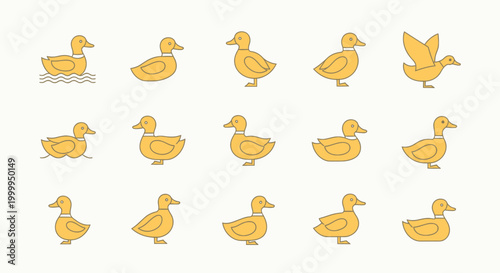 Group of Yellow Duck Illustrations.