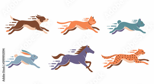Colorful running horse dog cat animal.