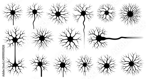 Neuron Cell Illustration Set for Medical and Scientific Usage