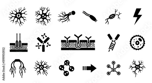Neuron Diagram Collection Represents Cellular Biological and Neurological Processes
