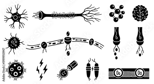 Neuron Vector Collection Neuron Brain and Neurological System Illustration