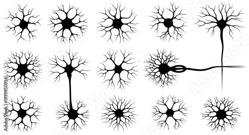 Neuron Vector Silhouette Collection for Medical and Educational Usage
