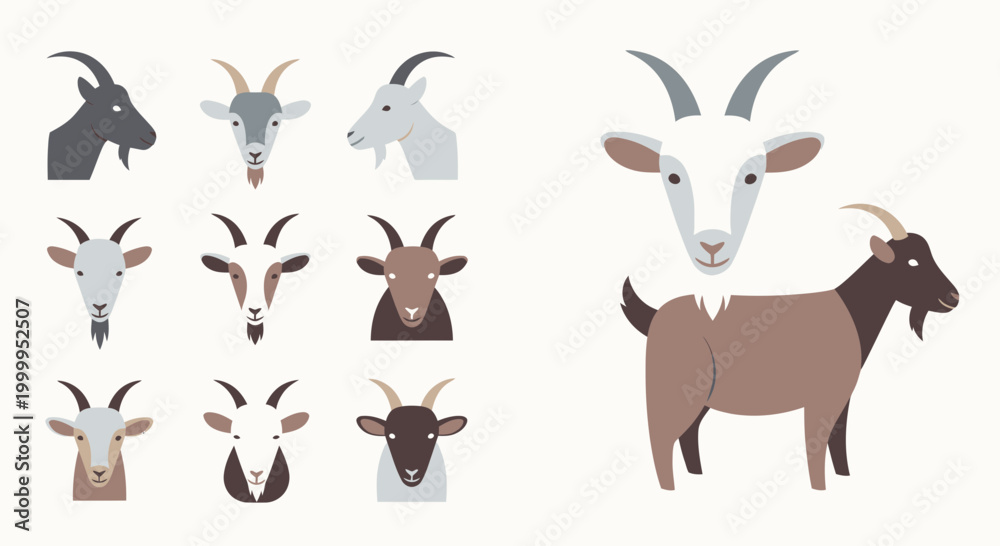Fototapeta premium Goats in various colors and poses.