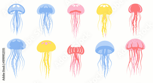 Colorful jellyfish swimming in ocean.