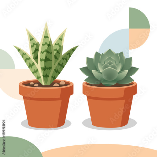 Flat Vector Illustration of Potted Snake Plant and Succulent in Terracotta Pots for Home Decor