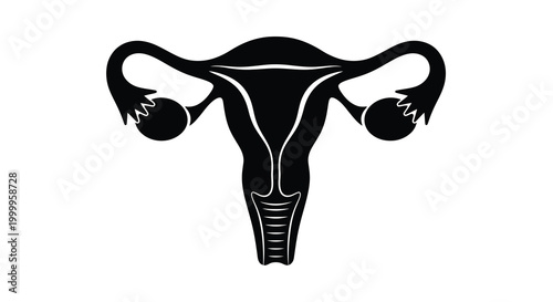 female reproductive system silhouette on white background