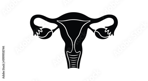female reproductive system silhouette on white background