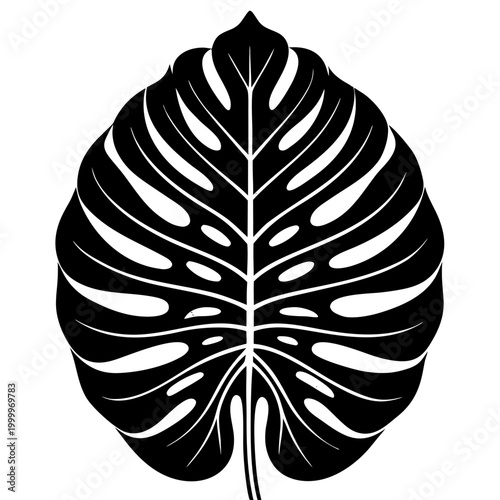 Monstera Deliciosa Leaf Silhouette Vector - Tropical Swiss Cheese Plant Foliage Icon
