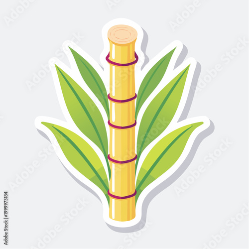 Sugarcane stalk with green leaves