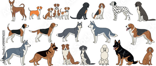 Dog Breeds Vector Set with Various Poses, Sizes, and Types for Animal Lovers, Pet Stores, and Dog Care Designs