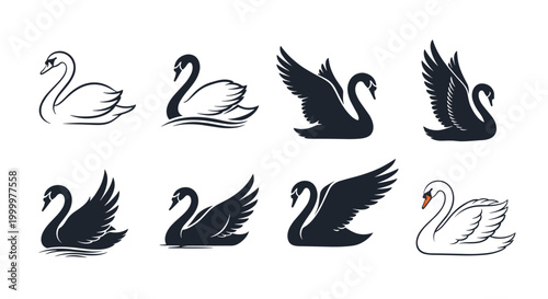 Collection of graceful swan silhouettes and outlines in various swimming and flying poses, perfect for logo or tattoo design projects.