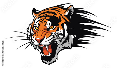 Tiger head illustration fierce predator isolated black background