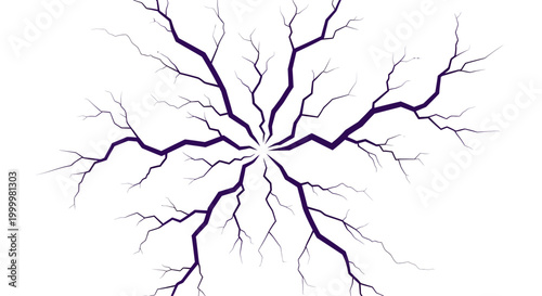 Neuron Cell Branches Network.