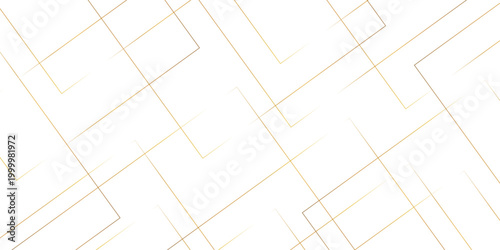 Abstract modern style of diagonal square geometric transparent line pattern vector. stylish monochrome of square and triangle vector. geometric square tile design illustration.