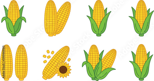 A Collection Of Various Cartoon Sweet Corn Cobs With Green Husks And Kernels On A White Background