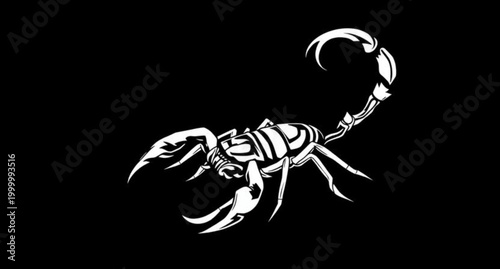 Isolated black silhouette of a dangerous poisonous scorpion with a sharp stinger tail and claws as a wildlife animal vector icon