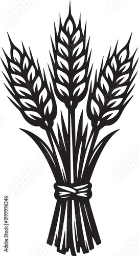 Bundle of wheat stalks tied with a ribbon Vector