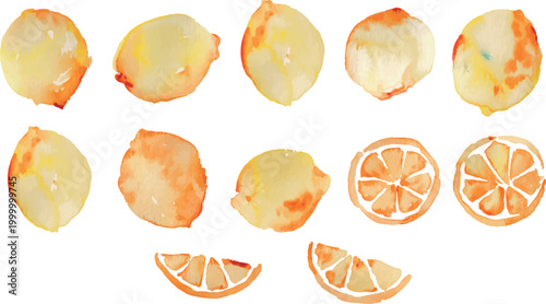 水彩画。水彩タッチのレモンイラスト。レモンの水彩ベクターイラストセット。Watercolor painting. Watercolor-style lemon illustration. Set of watercolor vector illustrations of lemons.