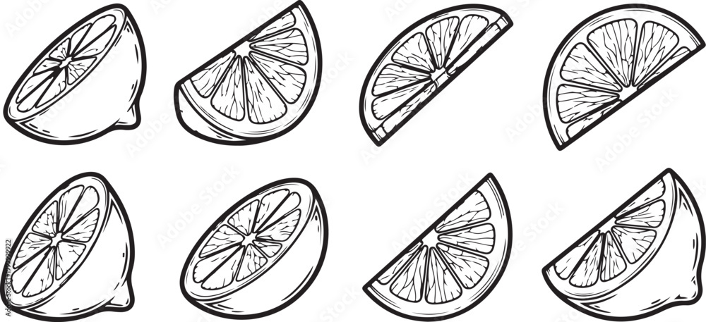 Foto Black and white butterfly wing patterns close up vector Vector