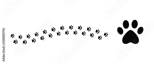Foto Set of black and white pet paws isolated on white background