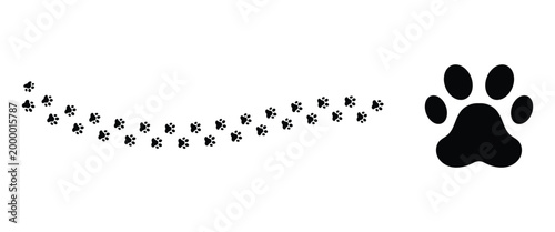 Billede på lærred Set of black and white pet paws isolated on white background