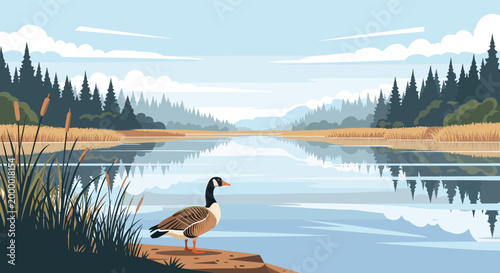 Peaceful nature landscape with a Canadian goose standing on a riverbank surrounded by reeds and a dense pine forest at dawn.
