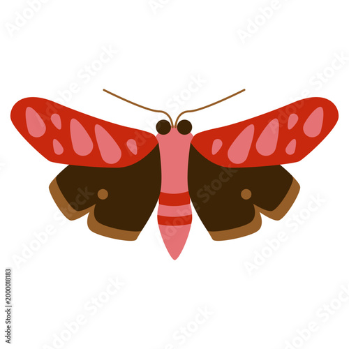 Atlas Moth Butterfly In Clean Flat Vector Style Simple Insect Illustration