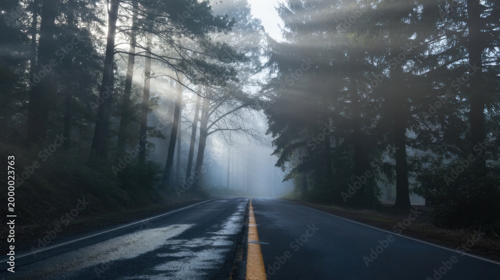 Obraz premium Train traveling through a foggy forest in autumn
