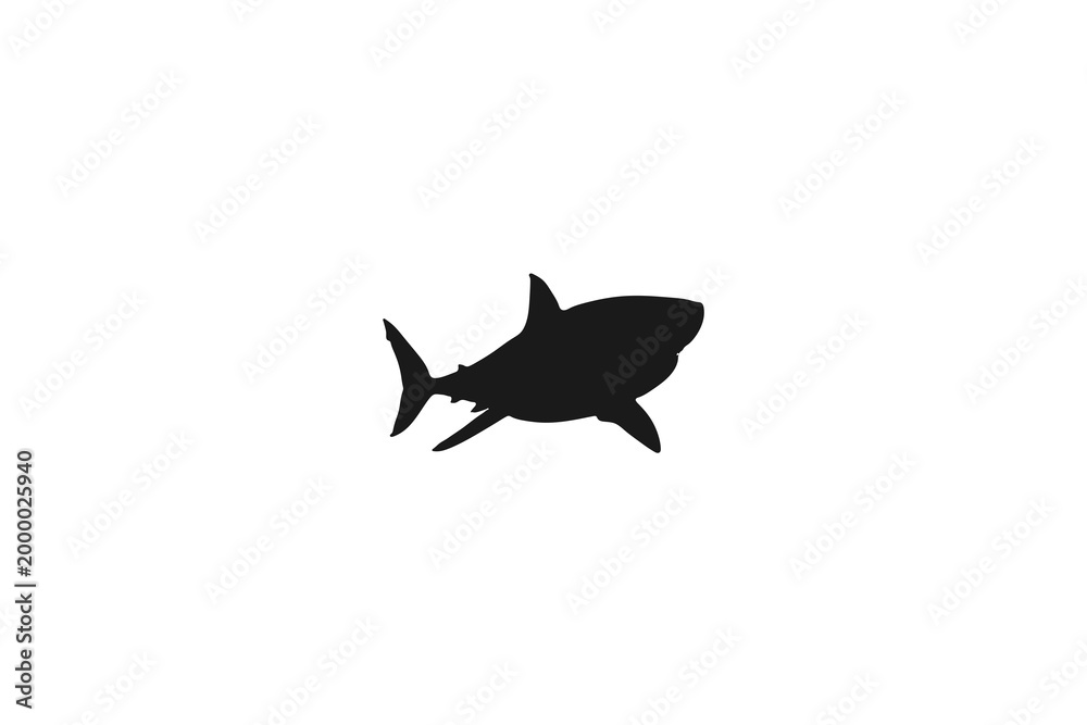 Fototapeta premium Great white shark silhouette side view isolated on white background
