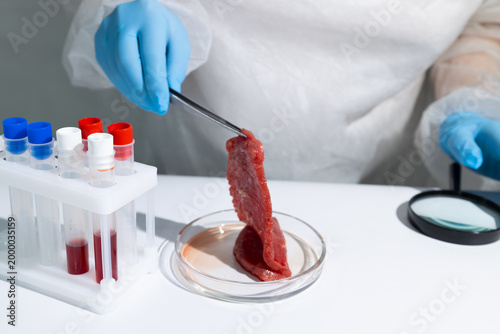 Canvastavla Scientist in protective gear holding lab-grown meat sample with tongs over petri dish in biotechnology lab