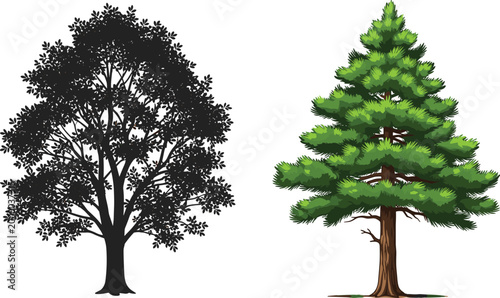 A detailed set of two separate evergreen tree illustrations including a realistic green pine tree and a solid black deciduous tree silhouette.