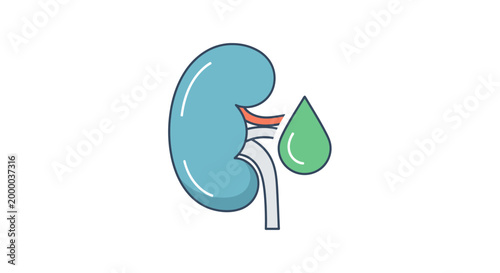Kidney Organ with Drop Symbol for Fluid Balance