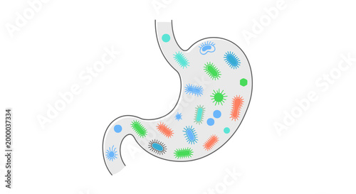 Stomach Filled with Microorganisms and Gut Flora