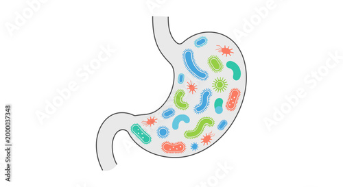 Stomach with Diverse Bacteria and Probiotic Microbes