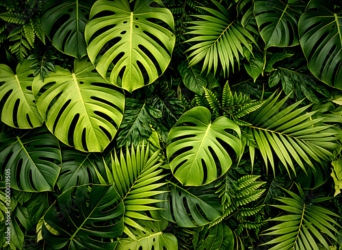 Vibrant green tropical leaves overlap creating a lush dense foliage background with natural light filtering through