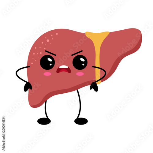 Cute character liver with angry expression. Red organ has big eyes and tiny arms. Stands with fists clenched, looking frustrated. Great for health, diet, or medical themes