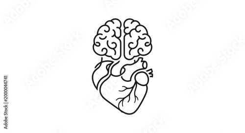 Human Brain and Heart Combination Illustration.