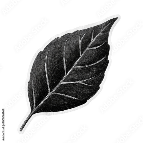 Black Leaf Sticker - Simple Botanical Silhouette Isolated on Transparent Background (PNG)