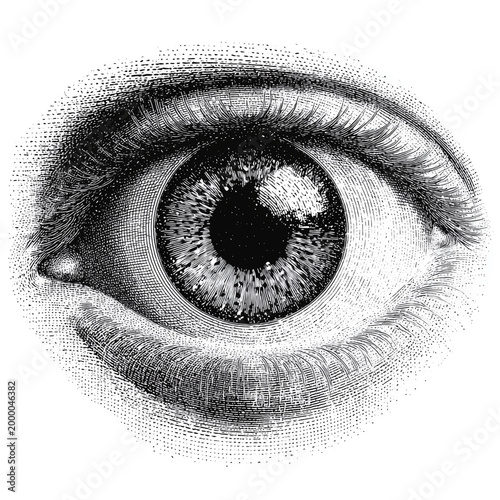 Top View Eyeball - Halftone Print Style Isolated on Transparent Background (PNG)