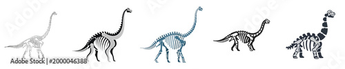 Long Neck Dinosaur Skeleton Set Sauropod Fossil Bones Collection Flat Vector Design