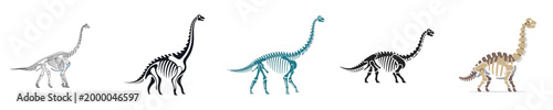 Sauropod Dinosaur Skeleton Collection Long Neck Fossil Bones Set Flat Vector Illustration