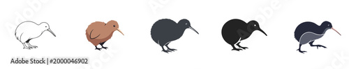 Kiwi Bird Set Cute Flightless Animal Icon Collection Flat Vector Illustration Design