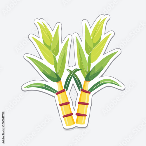 Illustration of Sugarcane Stalks