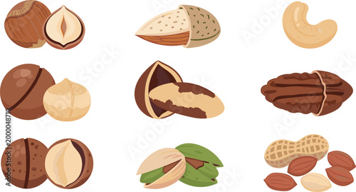 Illustrations of Various Nuts Including Hazelnuts, Almonds, Cashews, and Pistachios for Food, Snacks, and Natural Ingredient Design Projects