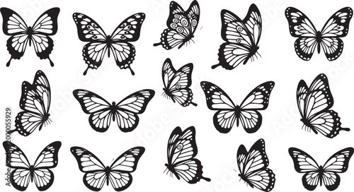 Black and white butterflies on white background insects wings