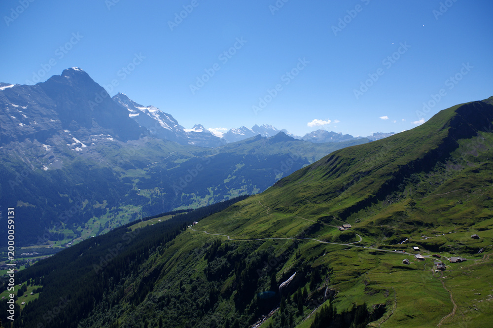 Fototapeta premium Vue depuis First Cliff Walk, Grindelwald, Suisse